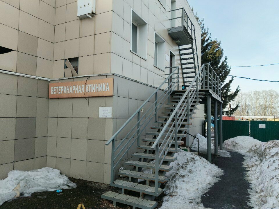 Гостиница Аркадия Кемерово