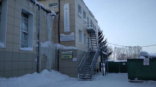 Гостиница Аркадия Кемерово-6